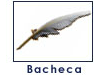 Bacheca