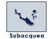 Subacquea